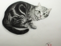 作品3.黒猫見上げる